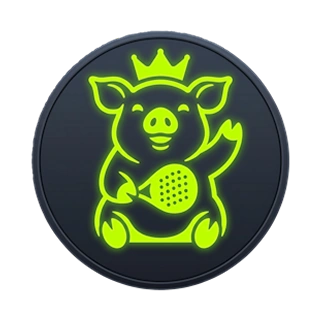 PadelVibe Tournament Manager Avatar